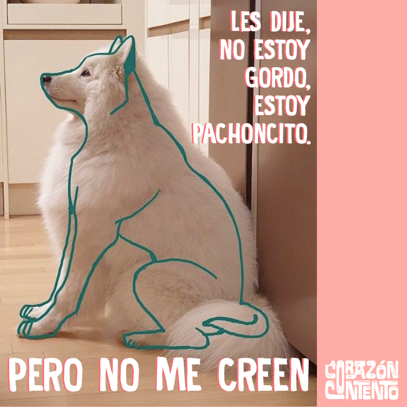 seriecorazon's tweet photo. Se les estuvo dice y dice... https://t.co/jlxFCzhd2l
