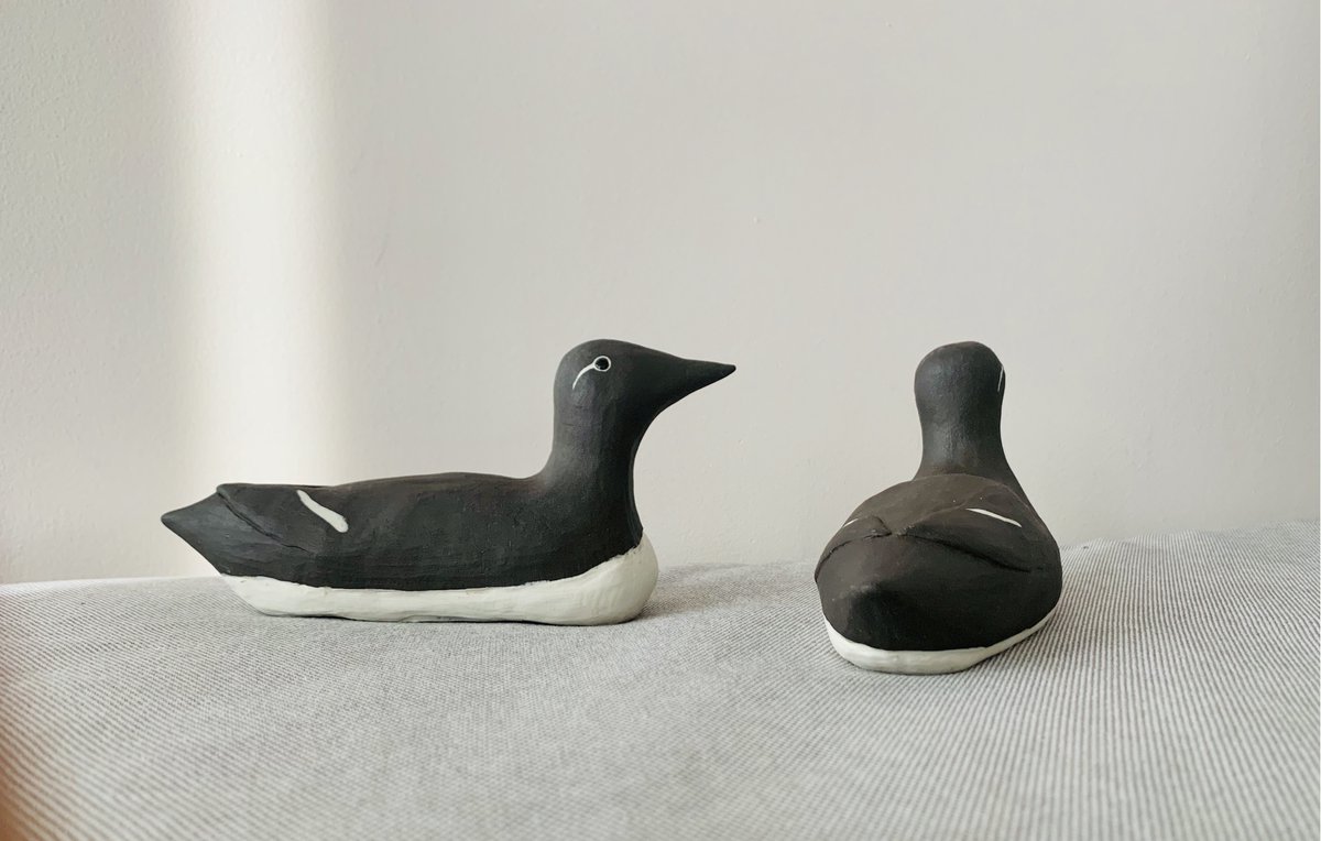 LindaSTakahashi's tweet photo. 3/4 #WSTC6 #ArtSesh2 So began my #secretmission to elevate the status of my favourite #seabird to rival that of the more popular #alcidae out there. Then I realized all my #murre inspirations were all #brided My latest #sculptures are more reflective of this reality #SciComm https://t.co/1ZyH3ESUHY