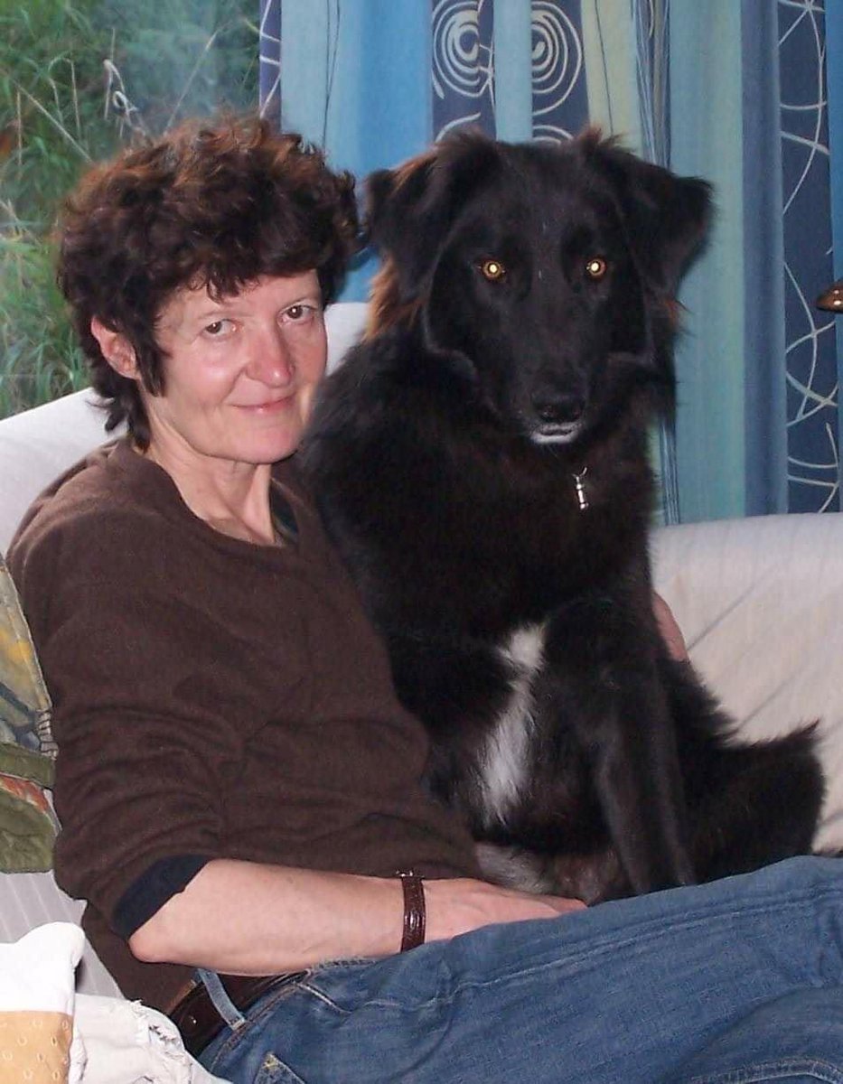 RSDR's tweet photo. #lockdownloving part 2
Here's Tobias, one of Soyala's pups rescued in 2012. He's very happy in the Netherlands too. #dogs #streetdogs #DogsofTwittter #rescuedogs #AdoptDontShop #dogsarefamily https://t.co/KR9550A2Tt