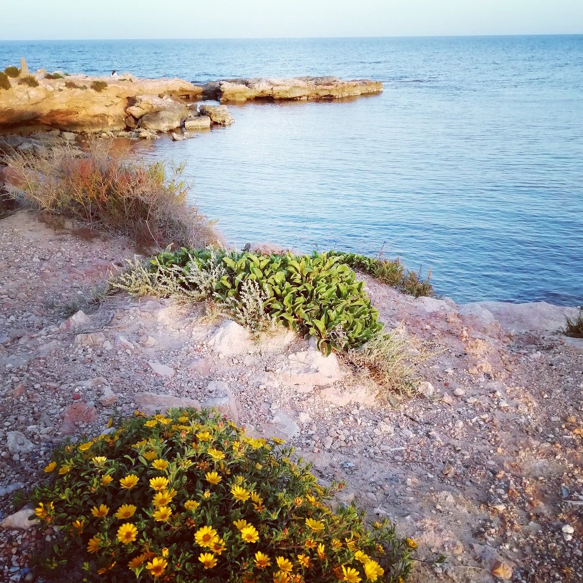 Dancingboots's tweet photo. Finally got to see the sea today after 52 days #lockdownspain https://t.co/iIKxd0aLbg