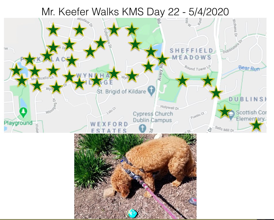 KMSRoom229's tweet photo. Day 22 of #KMSWander was awesome!!! Juno and I covered almost 5 miles, we saw some @KarrerMS friends on our trip, went through part of Avery Park, and saw some roads I didn't know were there. https://t.co/uG7bxAJpeH