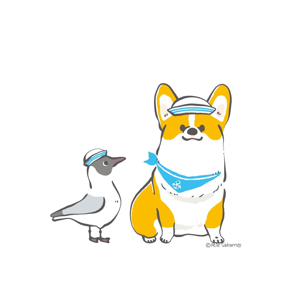 サカモトリエ イラストレーター いいねやリツイートありがとうございます コーギーとユリカモメのイラストは全6回のシリーズです 次回は金曜日に更新予定です