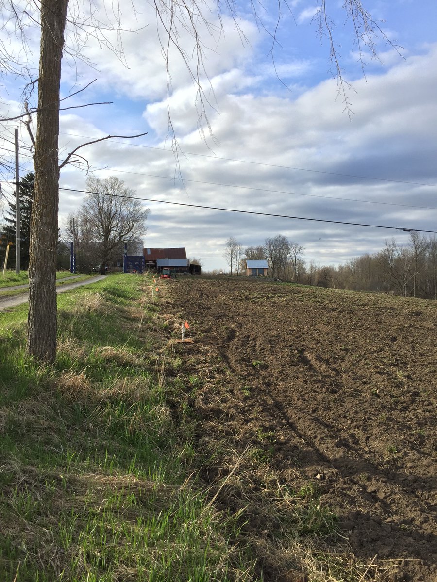 eleanormc's tweet photo. The theme for May @springfieldfarmorganics is #TREES! We are proud to plant 20 #butternuttrees today thanks to @raisinregion & over 100 native species thanks to @OntarioSoilCrop #SARPAL & tomorrow 30 #applecider trees! More to come! @SouthGlengarry @CanadianOrganic @OntarioEast https://t.co/jFKYtrNLfz