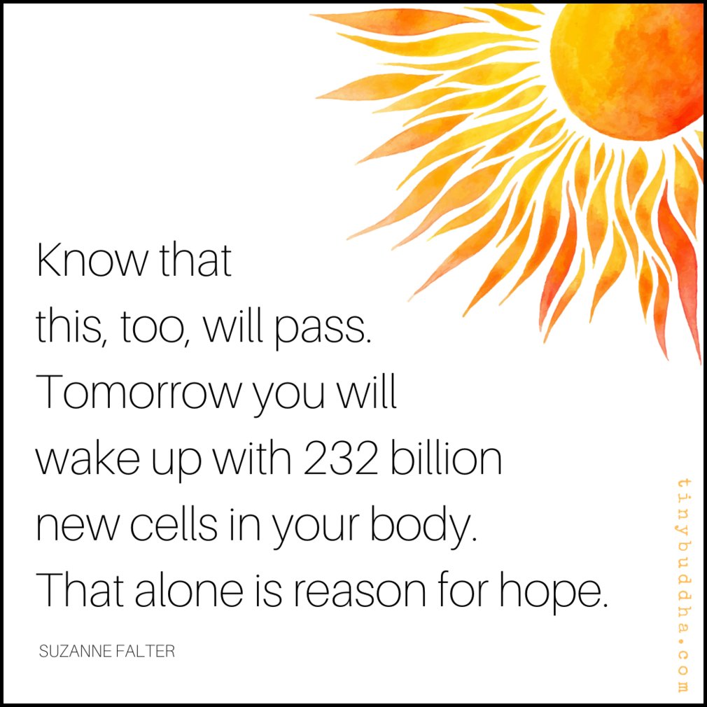 tinybuddha's tweet photo. "Know that this, too, will pass. Tomorrow you will wake up with 232 billion new cells in your body. That alone is reason for hope." ~Suzanne Falter https://t.co/DrRGg7Jrvm