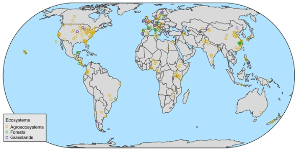 NaturePlants's tweet photo. New Article: "Global synthesis of effects of plant species diversity on trophic groups and interactions" https://t.co/npNyh26vPQ https://t.co/yfgpgLnZHM