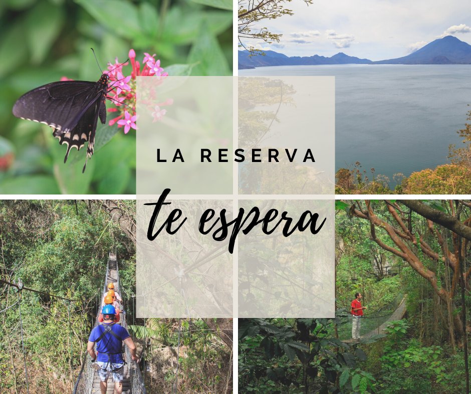 AtitlanReserva's tweet photo. 💚 Cuando todo esto acabe la Reserva estará esperándote. El mariposario, los senderos, la playa y nuestros animales te esperan, pero mientras quédate en casa. 💚 https://t.co/lM87LY2Ed3