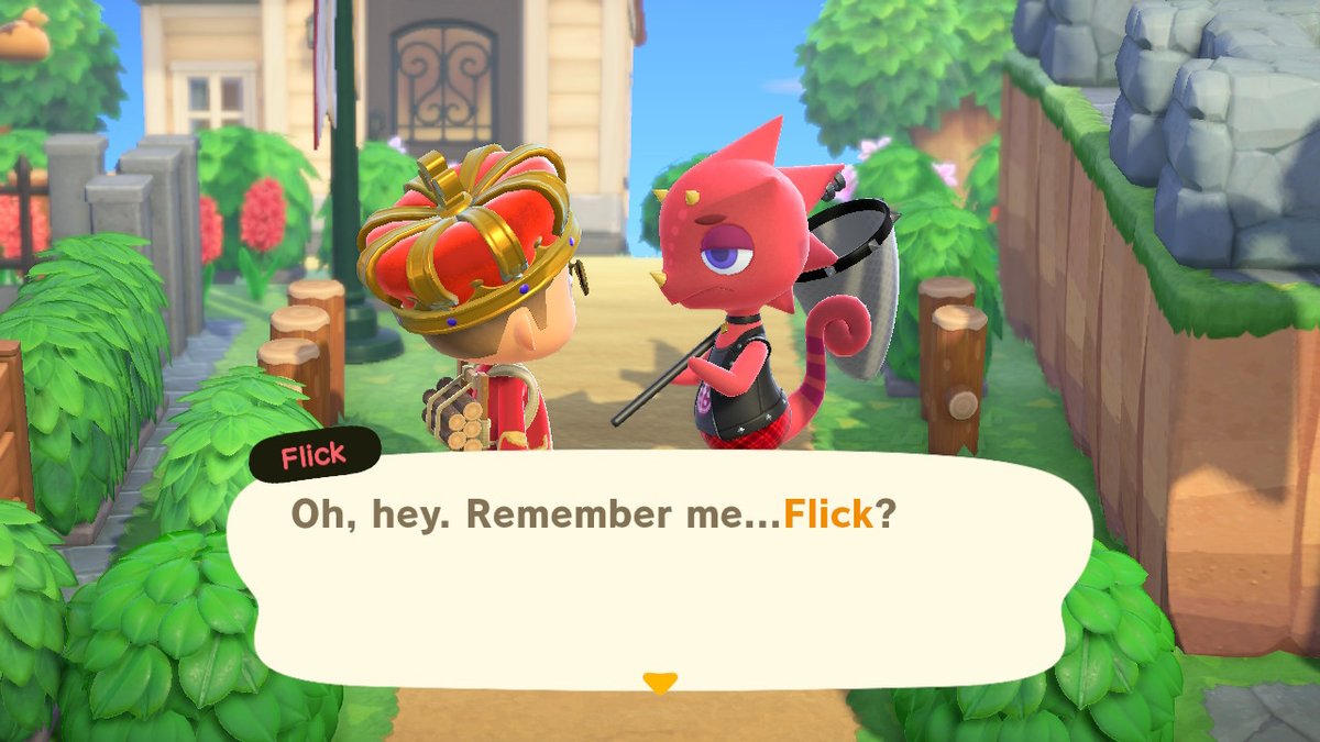 Laron_Playz's tweet photo. #AnimalCrossing #ACNH #NintendoSwitch https://t.co/psgKIqg9sk