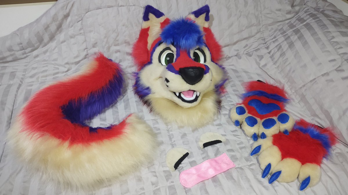 CaracalCreate's tweet image. Kayvo is complete! I had a blast making this colorful doggo as my first ever fursuit commission! Thank you so much @KayvoClockwork for trusting me with this project! ✨
#fursuit #fursuitmaker