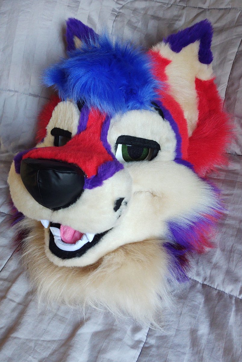 CaracalCreate's tweet image. Kayvo is complete! I had a blast making this colorful doggo as my first ever fursuit commission! Thank you so much @KayvoClockwork for trusting me with this project! ✨
#fursuit #fursuitmaker