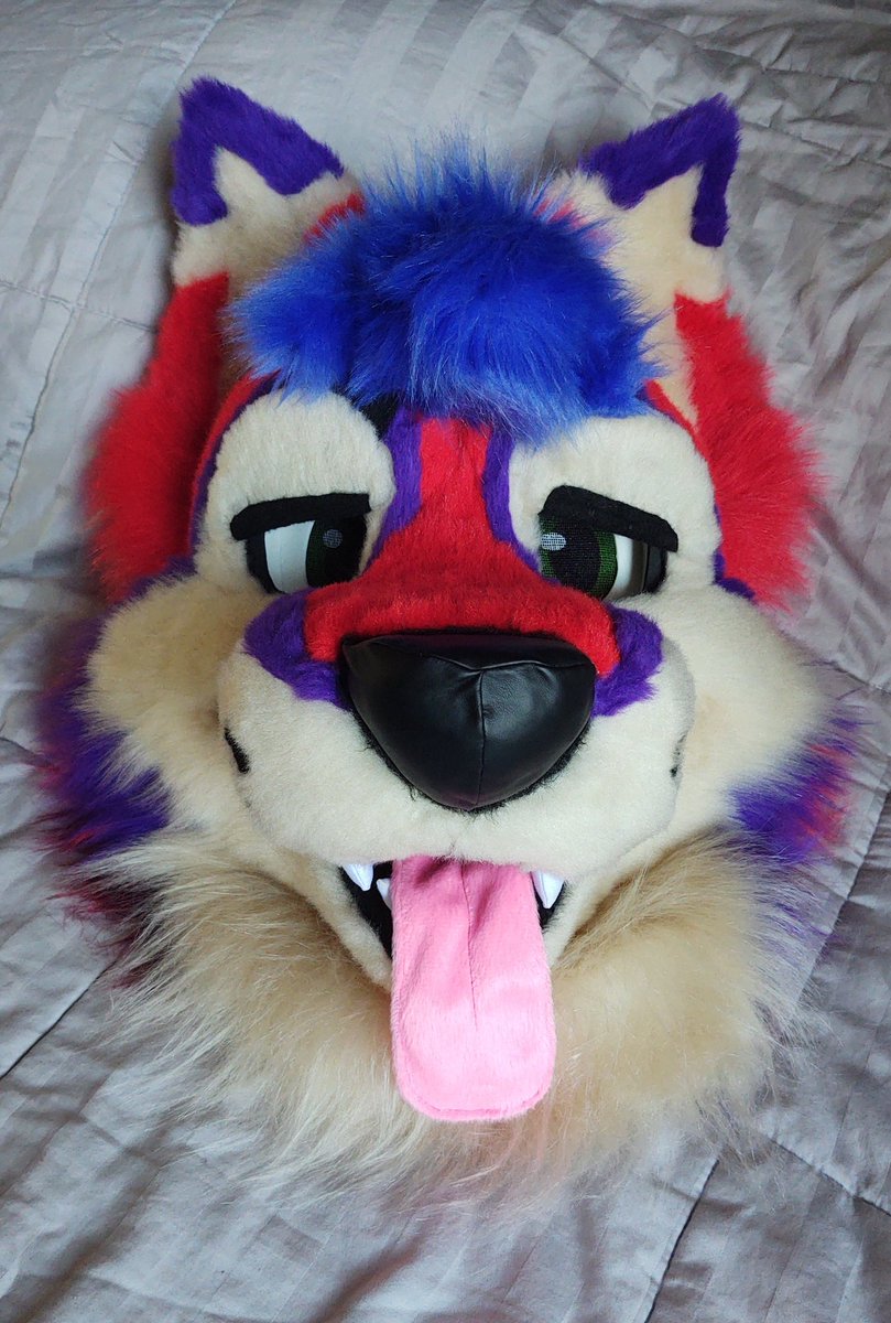 CaracalCreate's tweet image. Kayvo is complete! I had a blast making this colorful doggo as my first ever fursuit commission! Thank you so much @KayvoClockwork for trusting me with this project! ✨
#fursuit #fursuitmaker