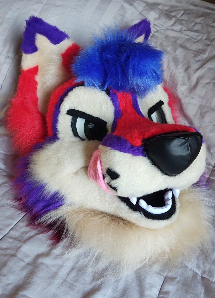 CaracalCreate's tweet image. Kayvo is complete! I had a blast making this colorful doggo as my first ever fursuit commission! Thank you so much @KayvoClockwork for trusting me with this project! ✨
#fursuit #fursuitmaker
