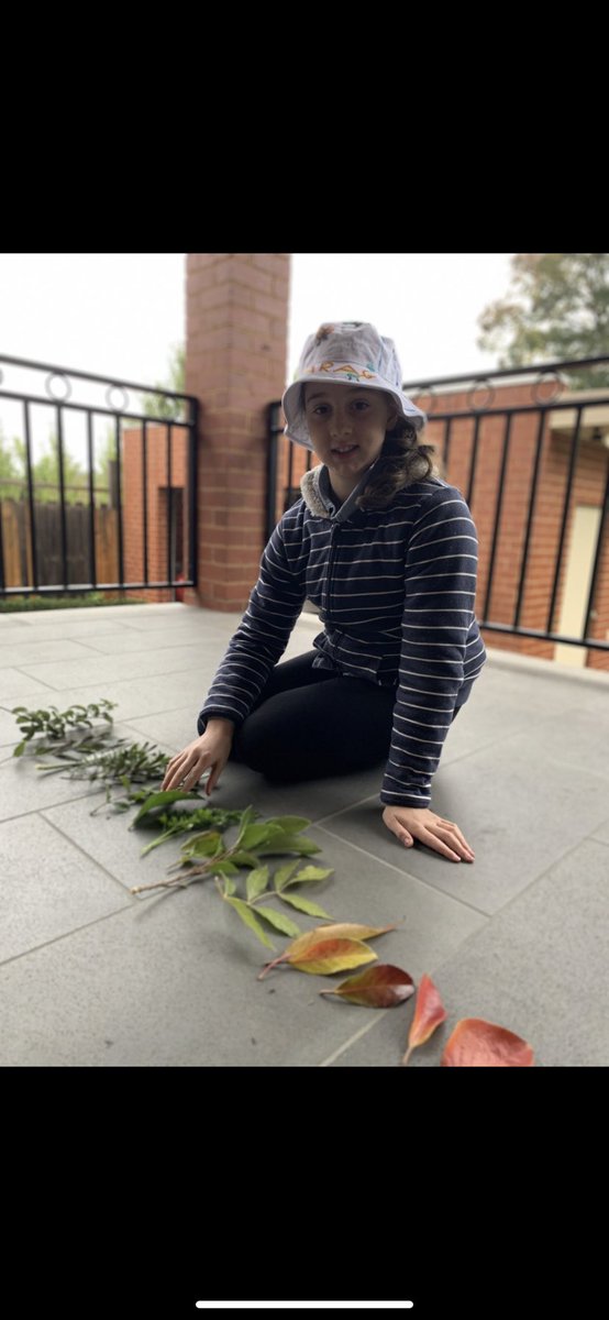 PEGScamp's tweet photo. Year 4 girls last week got to experience camp from their very own backyards. Well done to 4A,4B &amp; 4C for their fantastic participation and getting into the camp spirit. https://t.co/CB2qAIBaTq