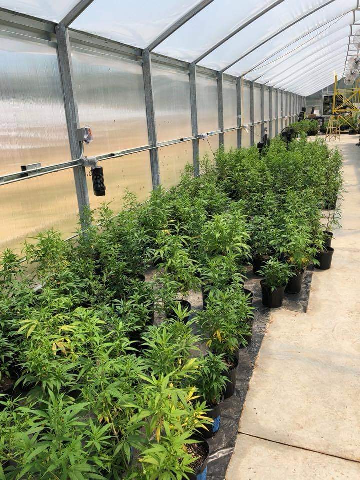 JacobRocker5's tweet image. 