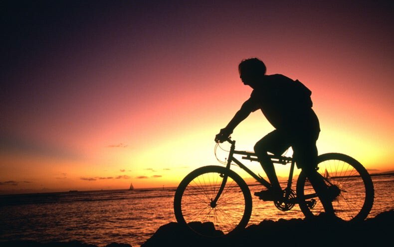 cyclecities's tweet photo. Riding your bike in the sunset... ❤️🚲
#riding #cyclecities #cycling #cycle #city #biketouring #biketours https://t.co/C2p02jpZoW