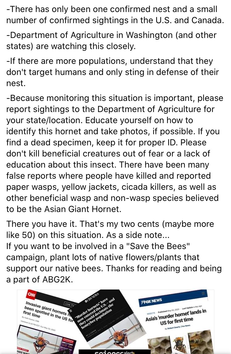 HeatherFeatherV's tweet photo. Bc I love bugs and don’t want people to needlessly kill bugs, pls read (regarding Asian giant hornet) https://t.co/OWOkGJpoTp