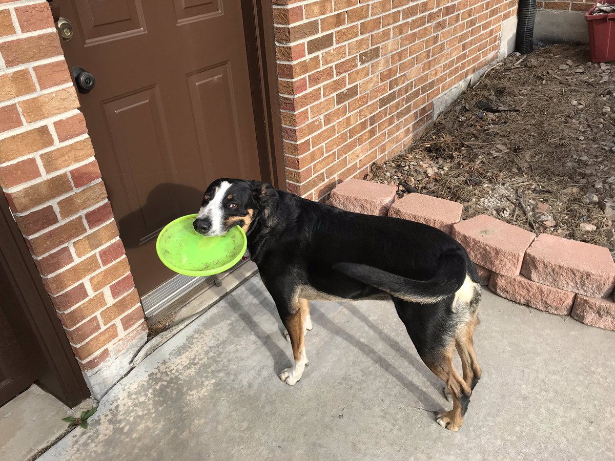 Axel Palmstrom tweet media