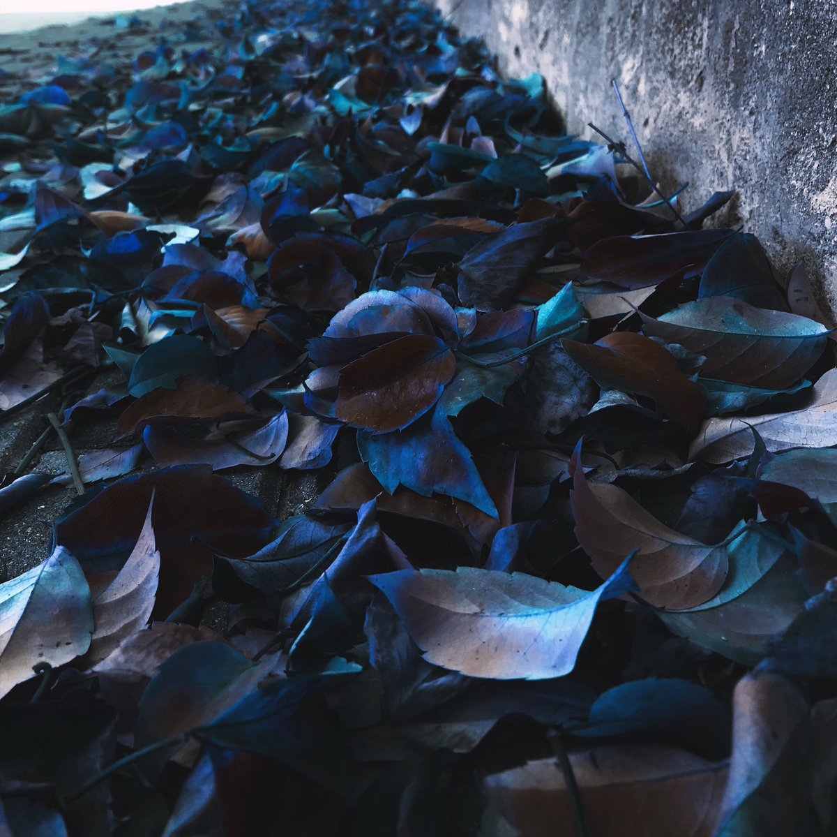 AyyBakNeDicem's tweet photo. F I L M   F I L T E R

#photography #photo #wallpaper #filmfilter https://t.co/9a9yke6iJK