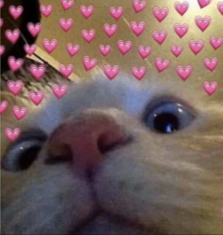 faehei's tweet image. appreciation post for @ripbarrel bc its what she deserves 

i am so happy i met her &amp;amp; she is the nicest person ever !! she is literally so sweet &amp;amp; i love her sm !!! she deserves the world 🥺