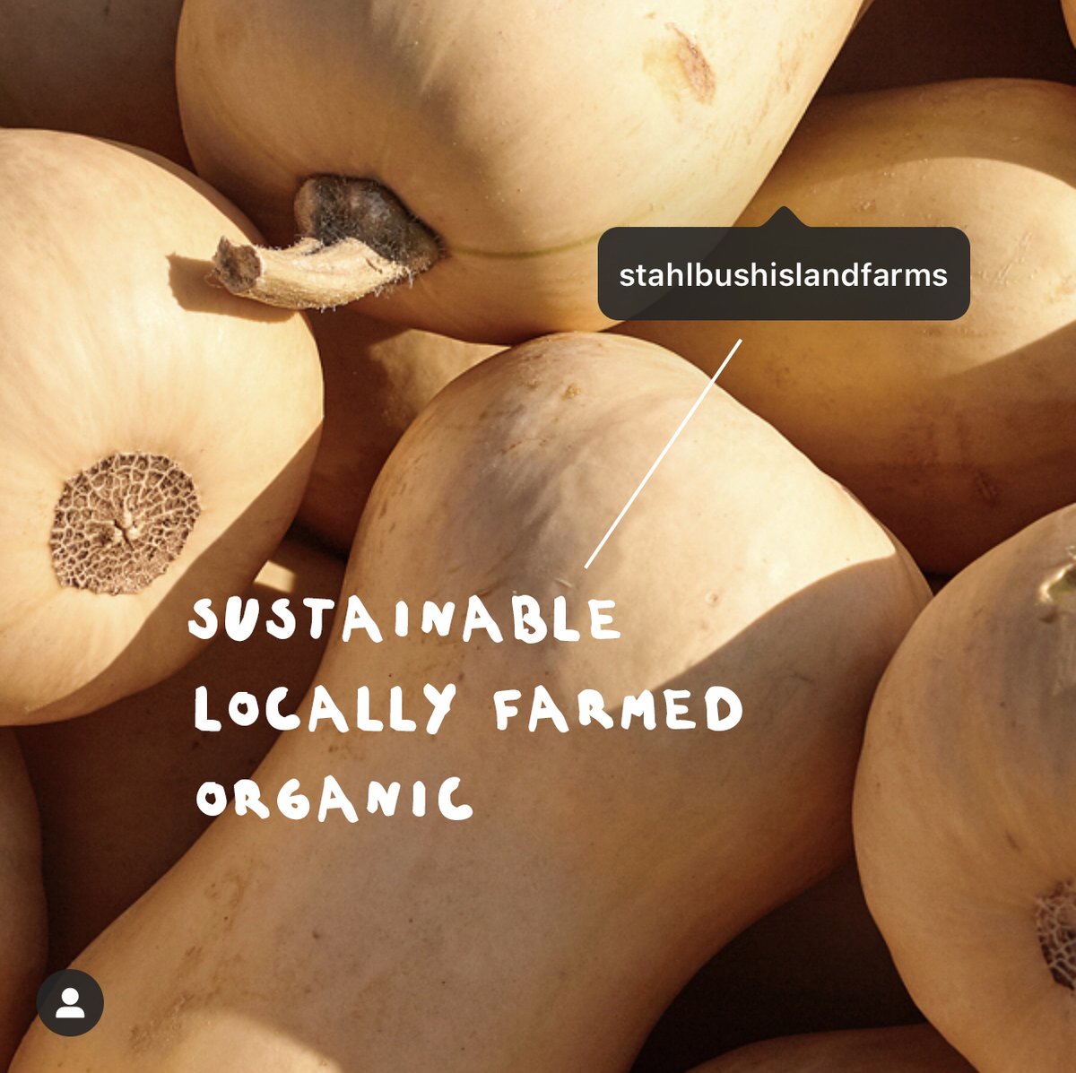 Warm fuzzy feeling alert 🚨 We are so proud to support local farmers in our quest for #feelgoodfood, including sourcing all of our butternut squash from Oregon’s eco-friendly Stahlbush Island Farms. #HappyPlanet