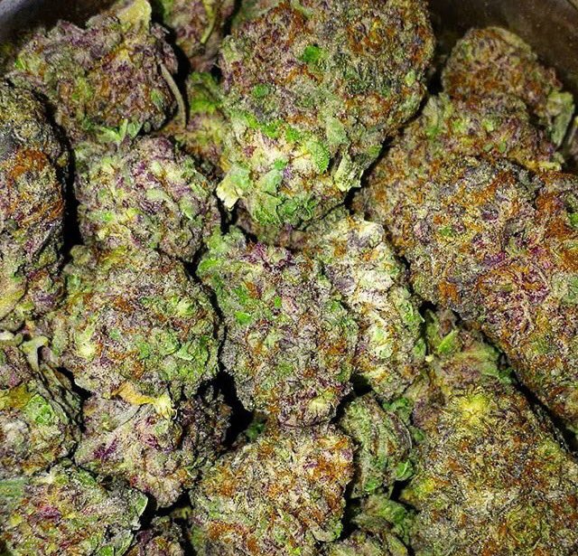 MalcomAlston2's tweet photo. This is a special strain that helps  relief pain and for recreational use....for more details,Dm ..discreet international delivery 📦 also available https://t.co/GgKwdFsxxm