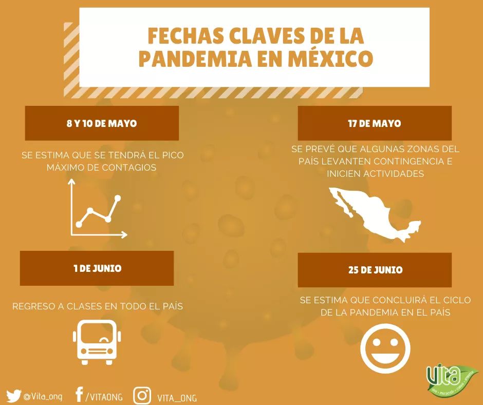 VITA_ONG's tweet photo. Estás son las fechas que serán de vital importancia los próximos días, recuerden que para que todo salga bien tienen que permanecer en casa. 

#COVID
#CORONAVIRUS https://t.co/ydZJD5Gpec