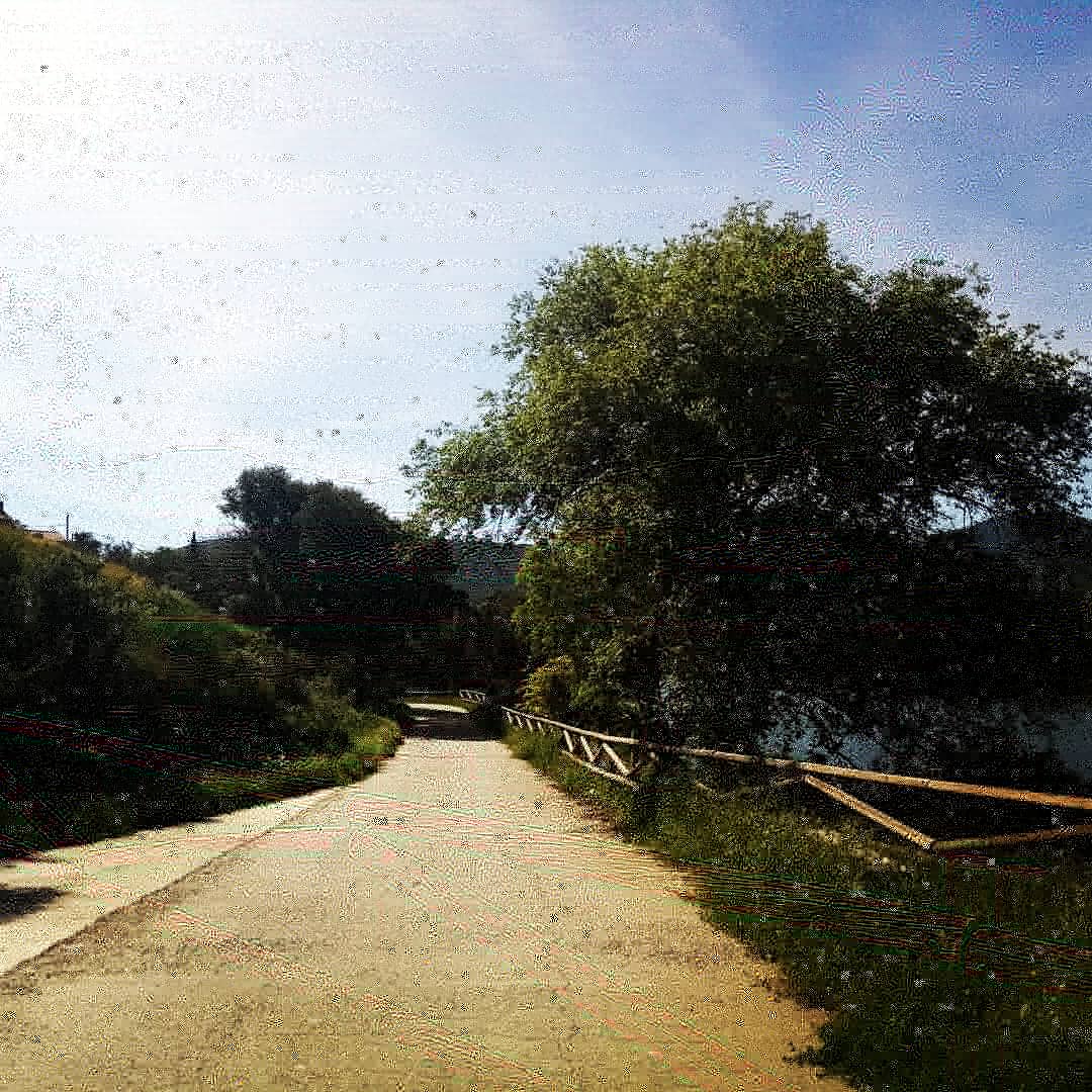 JDavidDguez's tweet photo. #LaPesga. Un camino. Un paseo. Tranquilidad https://t.co/uw2hqmftv0