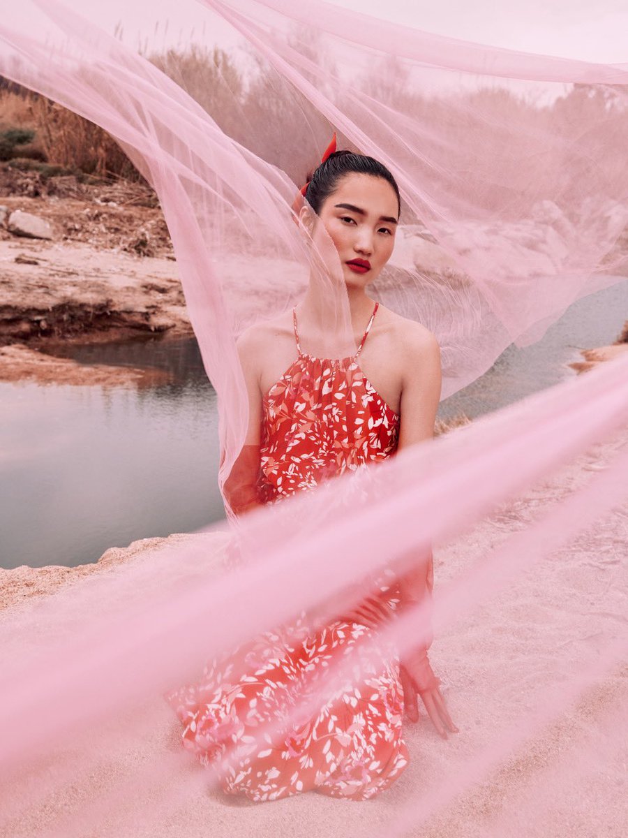 Supreme Management tweet media