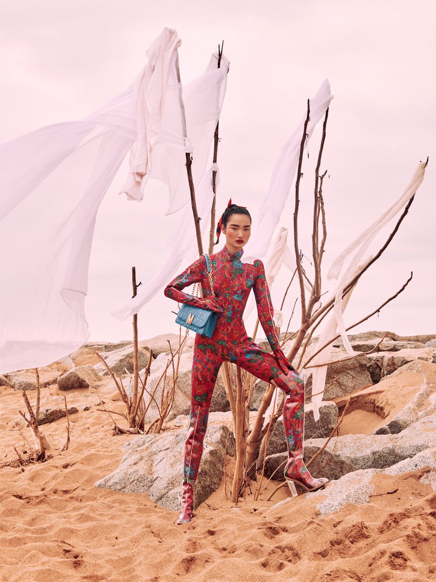 Supreme Management tweet media