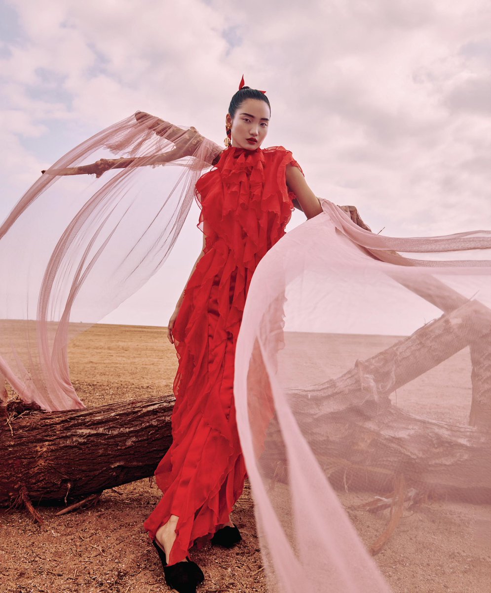 Supreme Management tweet media