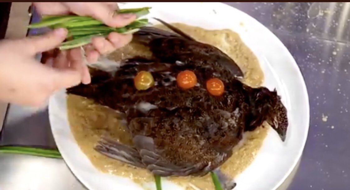 MayteRG_'s tweet photo. El origen del COVID no fue ni un murciélago ni un pangolín. Fue el plato de Saray. #MasterChef https://t.co/fHq4AX4MK9