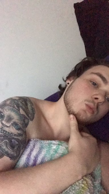 Cheshire’s pics and videos