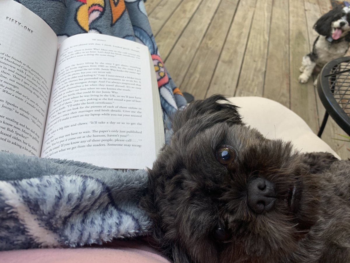 My little friend is craving attention while I am trying to read!  #ignitelearningbcps ⁦<a href="/lms_knights/">Liberty Middle</a>⁩