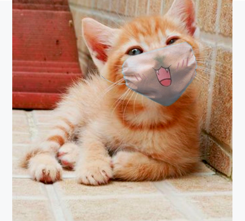 ranktwx's tweet photo. · 😸،     ﹕   Cαllαιтo leѕ eɴѕeɴ̃α α coмo 
                        poɴerѕe lα мαѕcαrιllα. 
⠀ ⠀ ⠀⠀ ⠀ ⠀⠀ #hellokitten + #2nsmission + #Cat19 
⠀ ⠀ ⠀⠀ ⠀ ⠀ ⠀ ⠀⠀
@ur_acts ⋆ @urcalypso https://t.co/HtKGCn5A8T