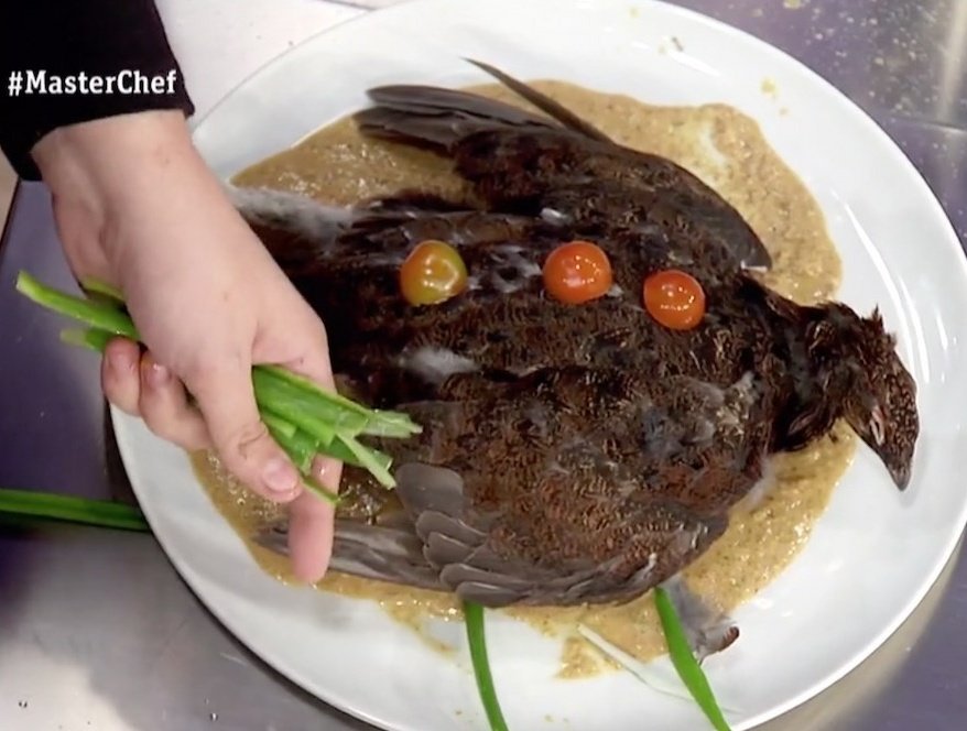 coronafagirus's tweet photo. Qué plato de @MasterChef_es es más ICÓNICO????

RT🔄 para la perdiz muerta de Saray

MG❤ para el león come gamba de Alberto

#MasterChef https://t.co/gFh0PDctVA