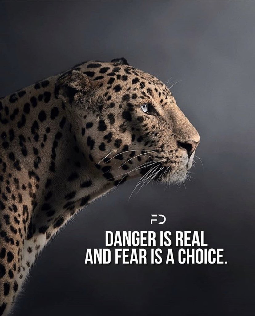 SavFree's tweet photo. 💯 https://t.co/T3U86IBTJ7