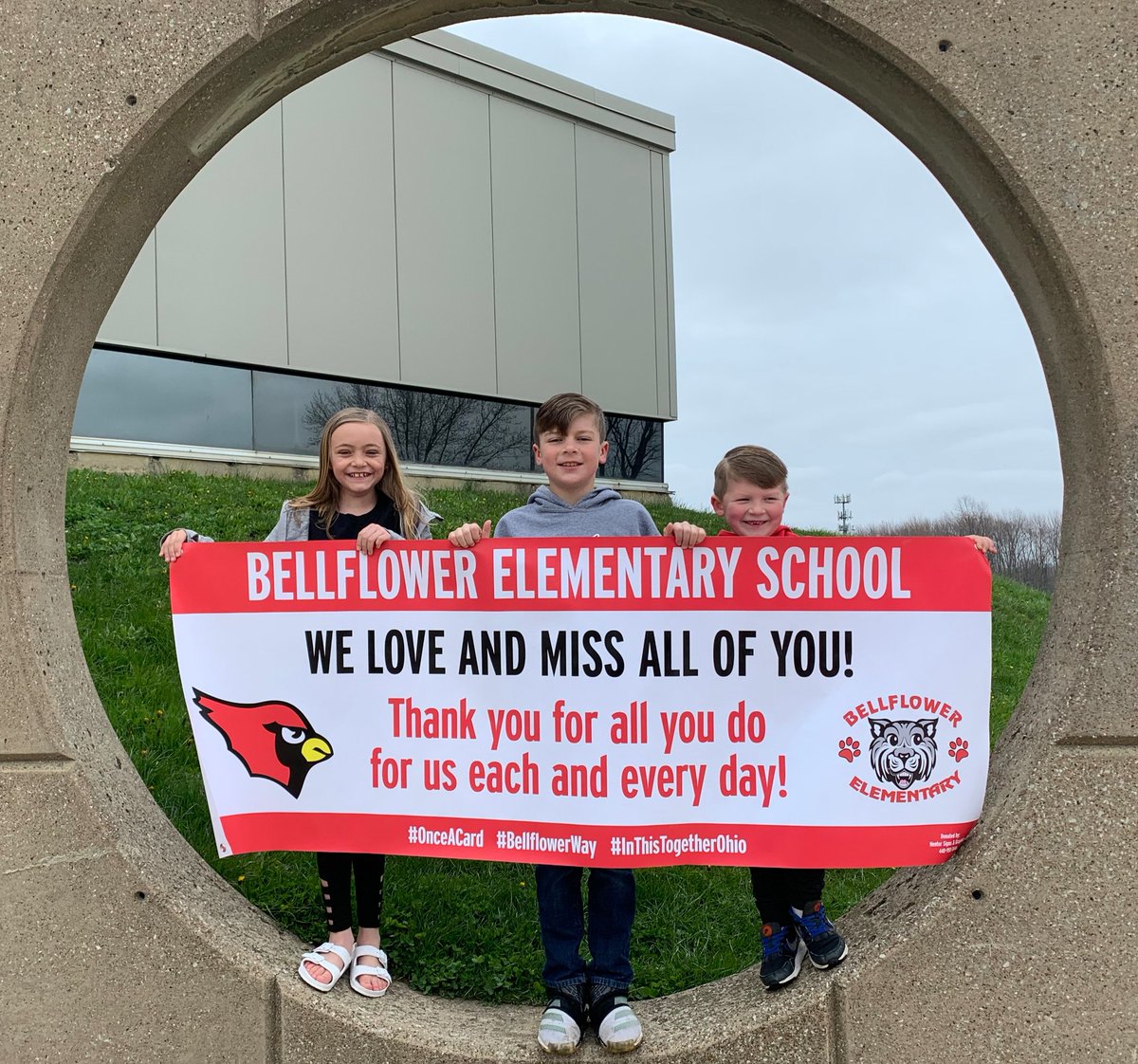 Paula McRedmond tweet media