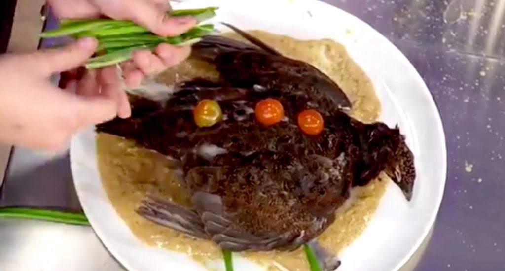Rox_Recaman's tweet photo. Con cuál os quedáis? 😂
#MasterChef

🔁 León come gamba. 
♥️ Pajarito estilo Saray. https://t.co/qTc8XTM3cn