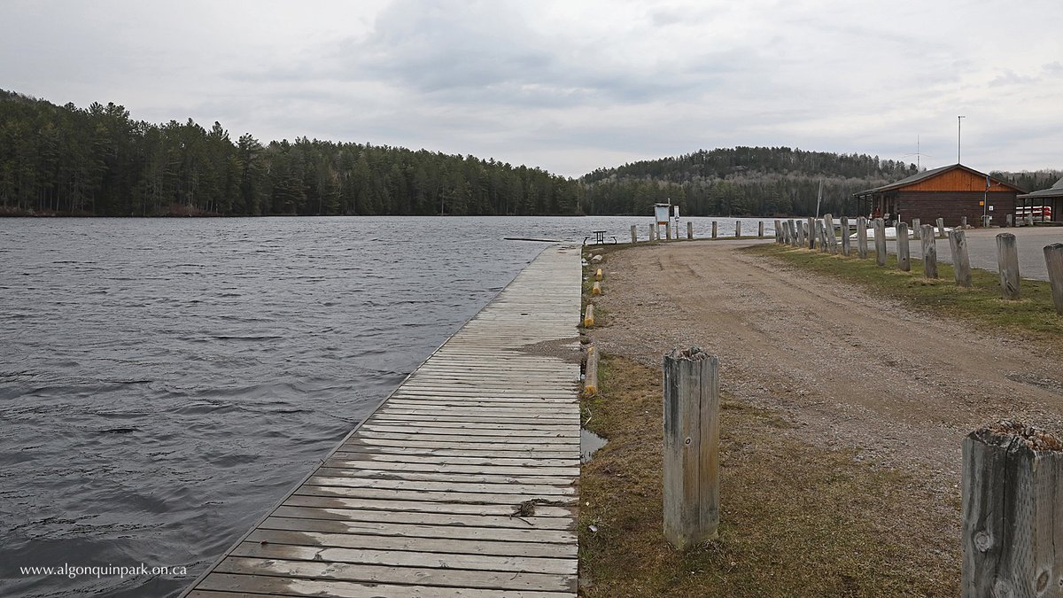 AlgonquinPark's tweet photo. Algonquin Park Lakes Now Ice Free — Based upon satellite imagery and the ice out of accessible #lakes the estimated #iceout date for Lake Opeongo in 2020 is April 30. Details at https://t.co/Jx4yr0DFNN #AlgonquinPark #Ontario #Canada #nature #outdoors #iceout2020 #COVID19 #closed https://t.co/5PRV6Fc7iK