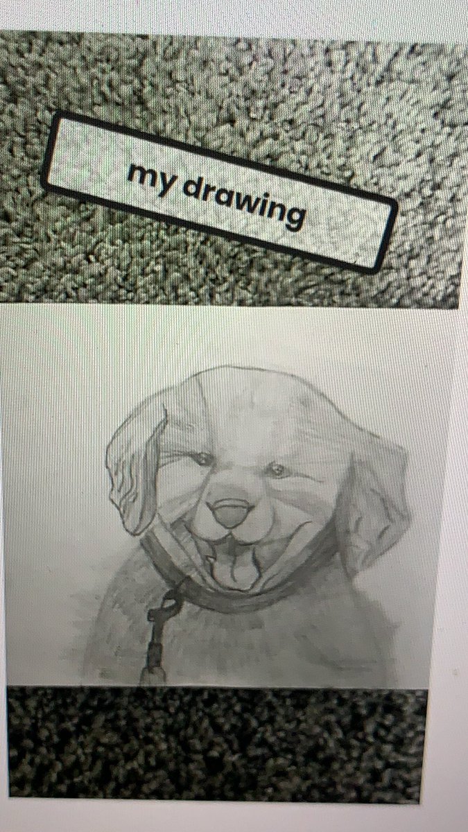 I could not be any prouder of this 5th grader who has grown her drawing skills so much during e-learning! I have never seen a cuter golden retriever puppy than this! 😍 #Wal109 #Engage109