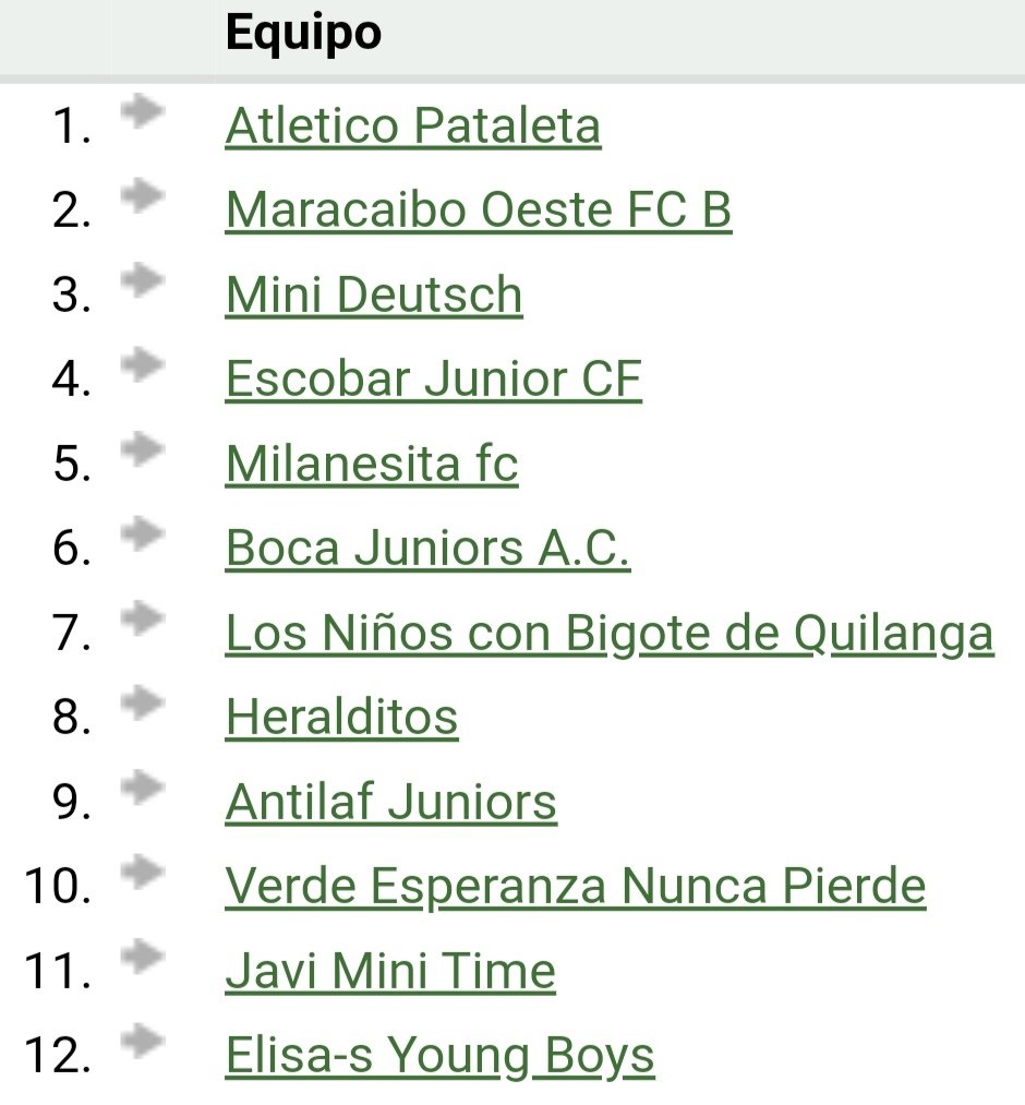Estos son nuestros participantes, pasamos de 6 a 12 equipos.

Grandes adiciones como Milanesita FC, Maracaibo Oeste B, Mini Deutsch, Atl.Pataleta, Escobar Junior, Heralditos y la vuelta de un histórico: Verde Esperanza Nunca Pierde.