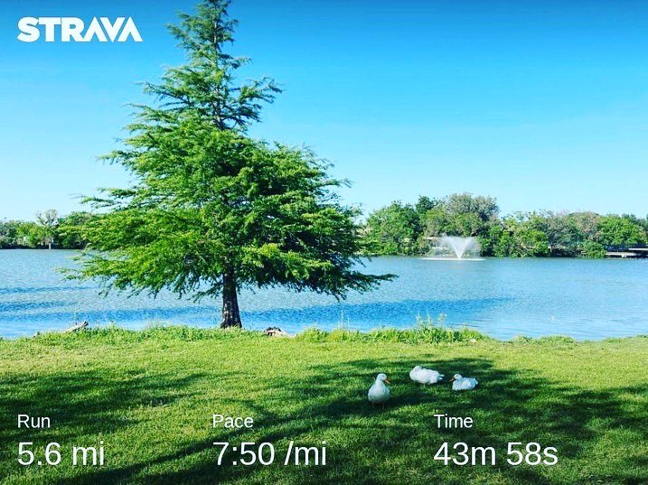 foot55's tweet photo. Hot yet refreshing 101 Degree Run. Reminded me of playing outside in the summer growing up in the 60’s. Favorite Song by Nick Gilder 1978 “Hot Child in the City” #hotrun #hotrunning #101degrees #1960s #nickgilder #hotchildinthecity https://t.co/n5dI9luP4i