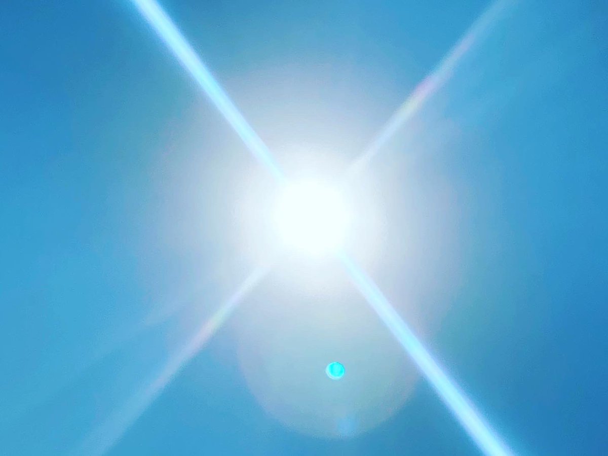 foot55's tweet photo. Hot yet refreshing 101 Degree Run. Reminded me of playing outside in the summer growing up in the 60’s. Favorite Song by Nick Gilder 1978 “Hot Child in the City” #hotrun #hotrunning #101degrees #1960s #nickgilder #hotchildinthecity https://t.co/n5dI9luP4i