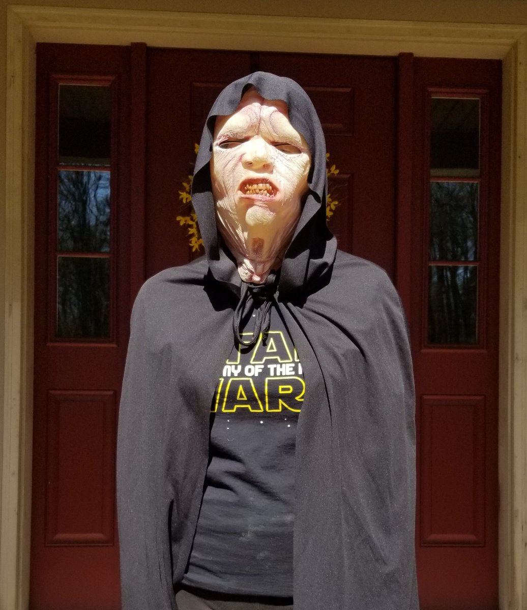 mrsleveillee32's tweet image. May the 4th be with you! #lmsspiritweek
