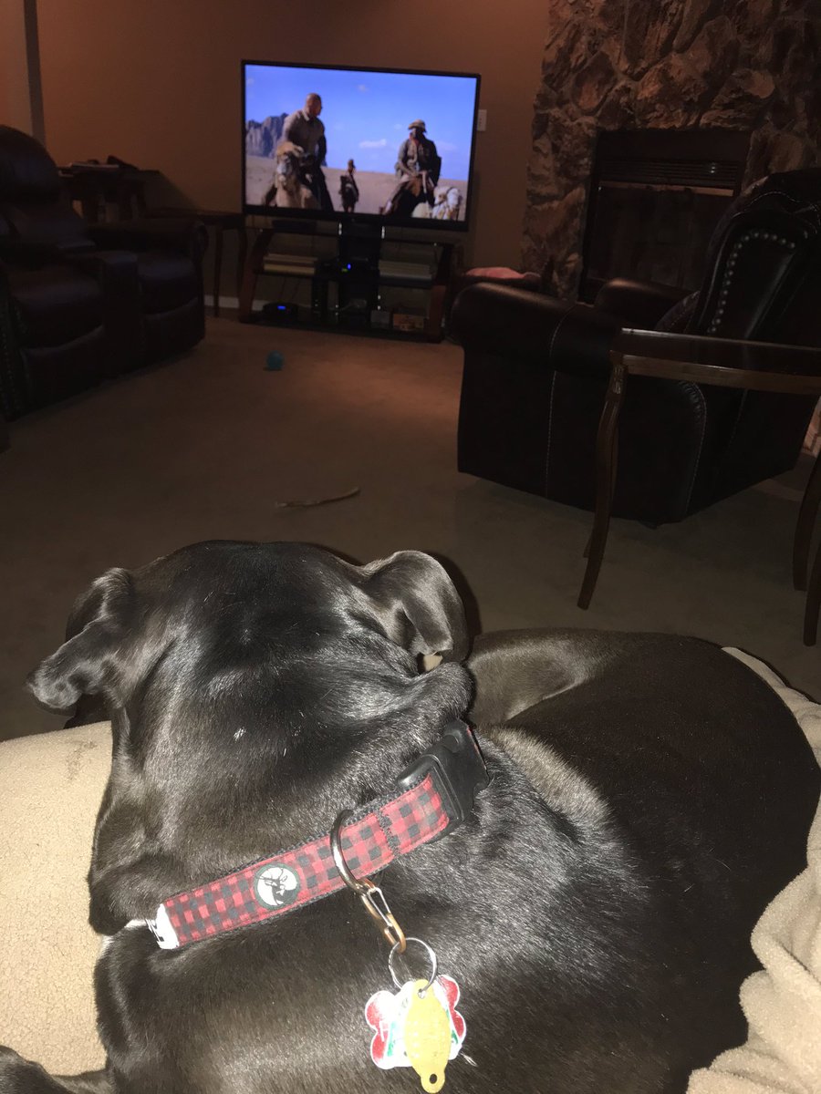 kcaufield315's tweet photo. A movie with family I can do! Great end to Moody Monday 😁 Jumanji with Farley and my twin! @_RamsRock  #virtualspiritweek #ineedpopcorn https://t.co/8hawhesJyL