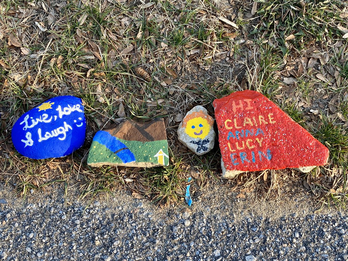 steve_hutchings's tweet photo. @ottpak @Kanatarocksprjt @elemenopaintART So many rocks in one spot. A stone’s throw from my house. #happyrocks https://t.co/IFbIDBzyUj