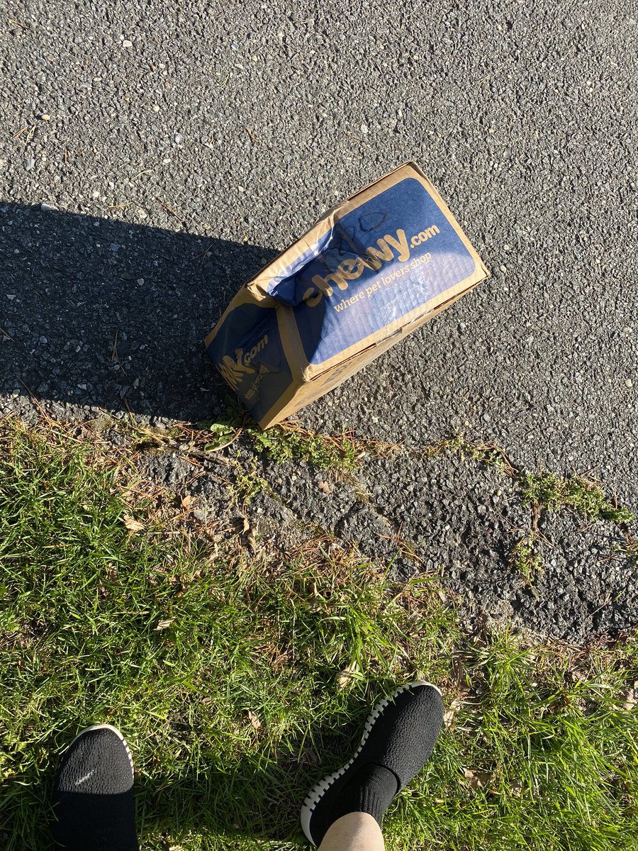dmdonnalee's tweet photo. Not like @Chewy regular service. This box was literally thrown out the truck door onto the end of my driveway. Not cool. https://t.co/bxcDOr7Owb