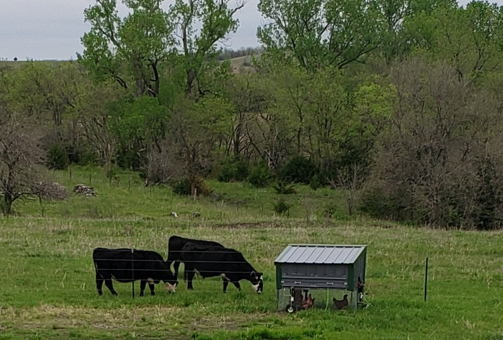 Josh Roe tweet media