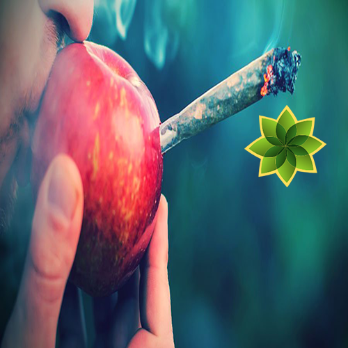 CannabiMedia's tweet photo. Fumar Cannabis no tiene límites. De hecho, hay varias formas de fumar marihuana. Aunque algunos métodos no son tan sanos como otros, no hay nada malo en animar las cosas de vez en cuando.
¿Quieres saber mas ?
👇👇👇
https://t.co/TKmbYmXNZJ https://t.co/oANb9Zf9qw