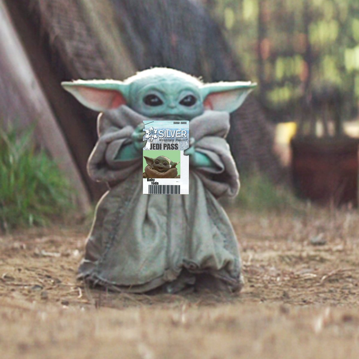 Silver Mountain tweet media