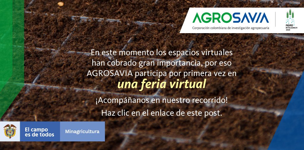 AGROSAVIA tweet media